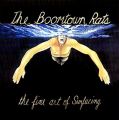 THE BOOMTOWN RATS - the fine art of surfacing